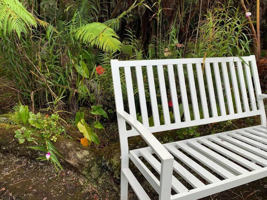 Hau'Oli Place Tiki Cottage In Volcano Buitenkant foto